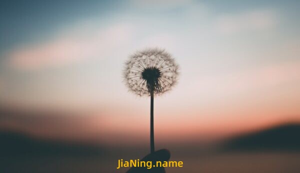 别着急，慢慢来