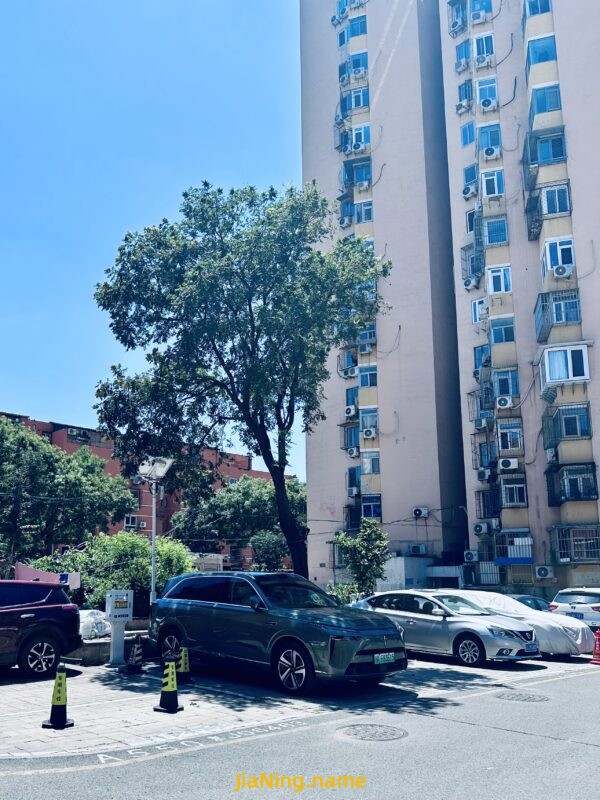 你离开后的 第171天
