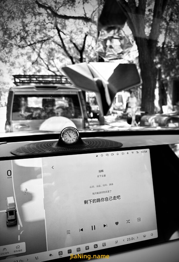 你离开后的 第224天