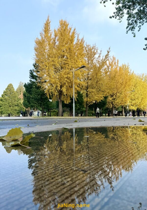 你离开后的 第278天