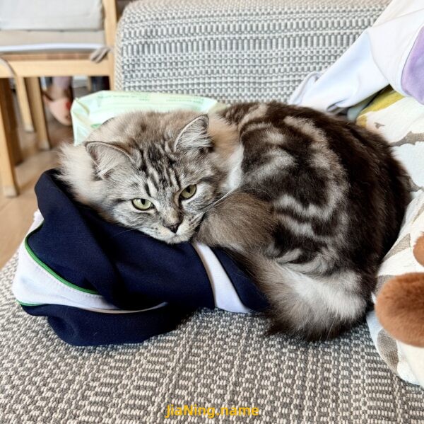 你离开后的 第294天