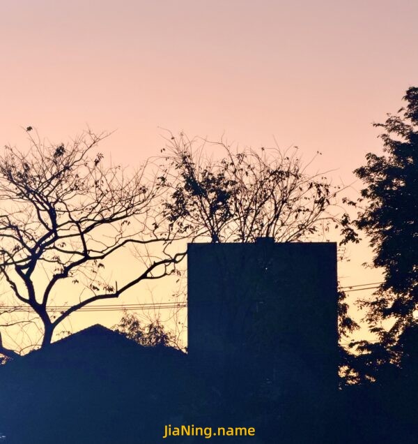 你离开后的 第317天